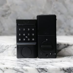 Hindlocks SmartTouch 2411A